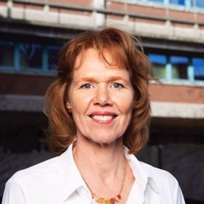 Drs. Ingrid Hissink RC, Voormalig directeur Amsterdam UMC Holding B.V.